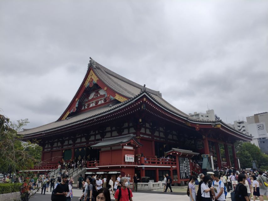 Uczniowie ALO w Japonii