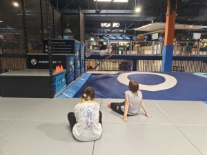 Zajęcia na trampolinach