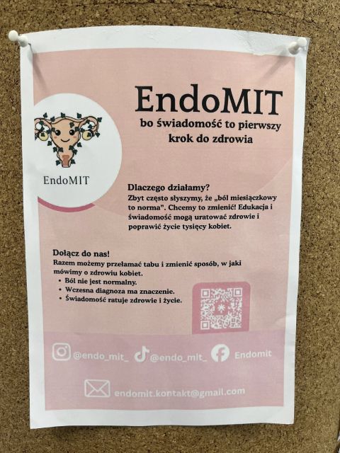 Projekt EndoMIT