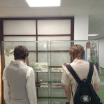 Wydział Informacji i Kultury Ambasady Japonii